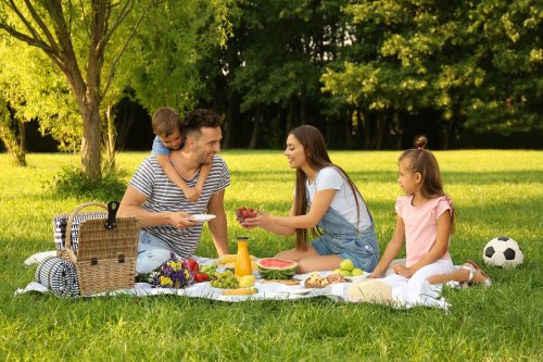 Piknikový koš Family - pro dva dospělé a dvě děti